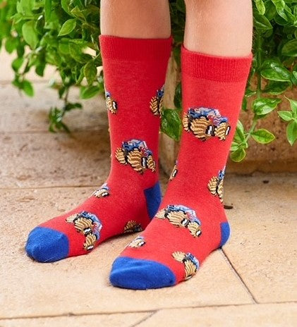 Monster Truck Socks