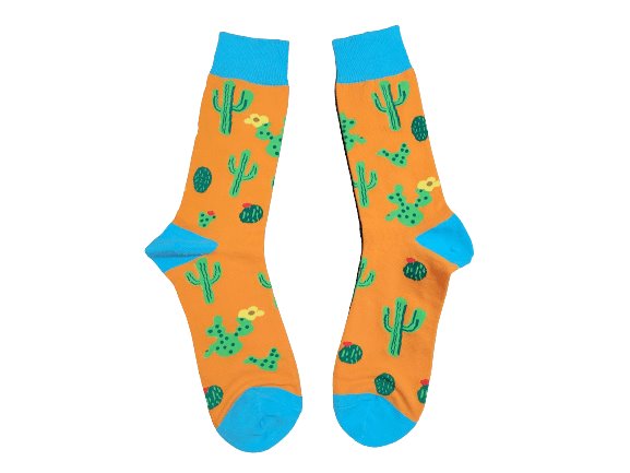 Prickly Cactus Socks