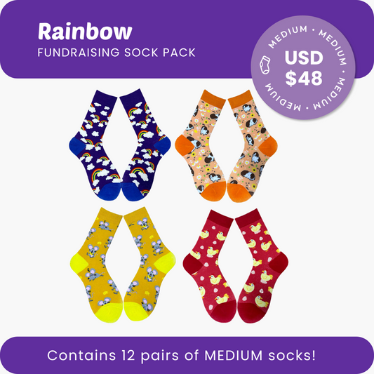 Rainbow Fundraising Sock Pack